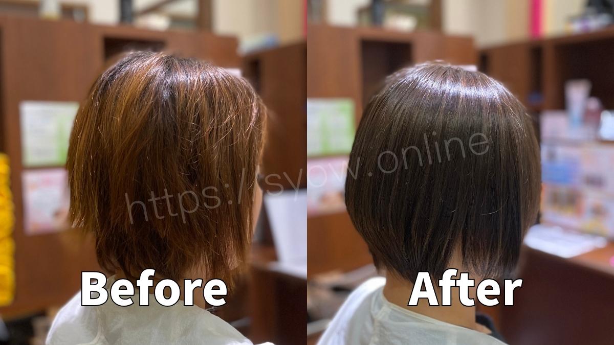 圧倒的なツヤと色持ちの新次元ヘアカラー/シルクカラー
