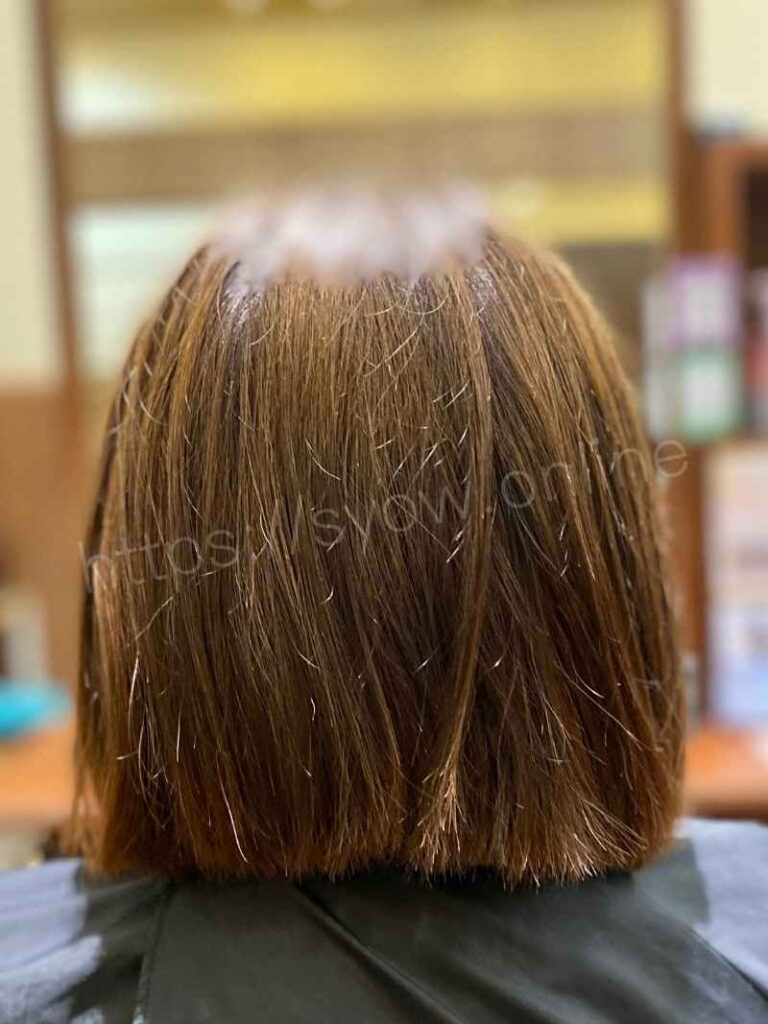 白髪だけじゃない!褪色してパサつき、収まりが悪くなった髪もシルクカラーでしっかり改善/ビフォー